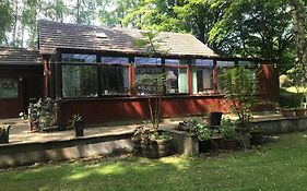 Pine Chalet